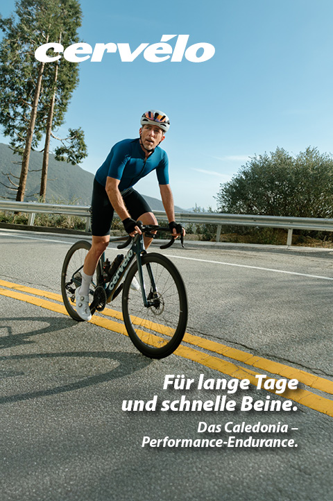 Ein Fahrradfahrer fährt mit einem Rennrad auf einer asphaltierten Straße. Die Landschaft im Hintergrund sieht bergig und sommerlich aus.