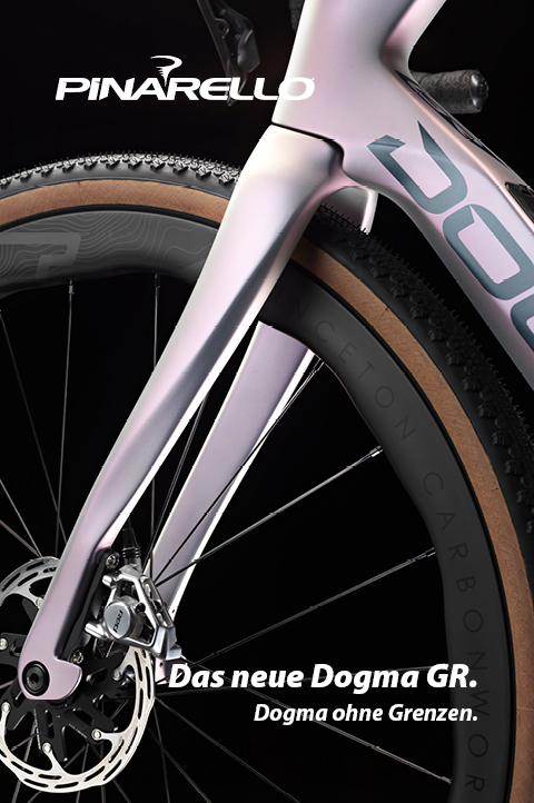 Das Bild zeigt den vorderen Teil eines Gravel-Bikes. Gabel, Bremsscheibe, Teile des Reifens, Teile des Rahmens und Teile des Lenkers sind erkennbar. Es ist das neue Dogma GR.