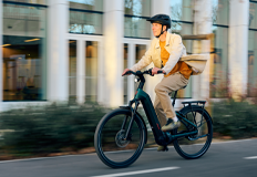 E-Bikes / Pedelecs Vorschaubild
