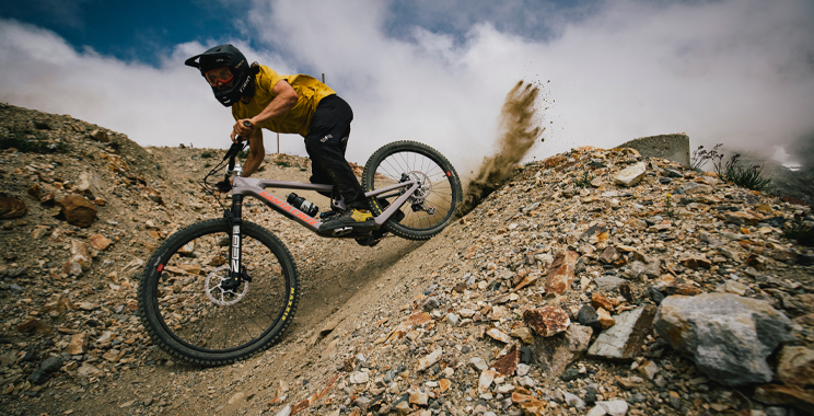Enduro/ Freeride/ Downhill Enduro/ Freeride/ Downhill