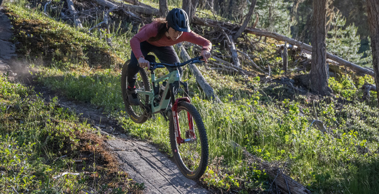 Enduro/ Freeride/ Downhill