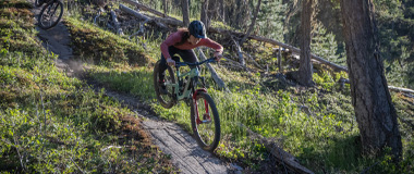 Enduro/ Freeride/ Downhill Vorschaubild