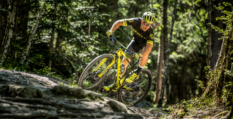 Hardtail Mountainbike Hardtail Mountainbike