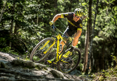 Hardtail Mountainbike Vorschaubild