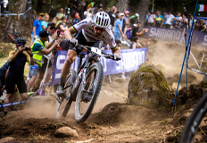 Race/ Marathon MTB Vorschaubild