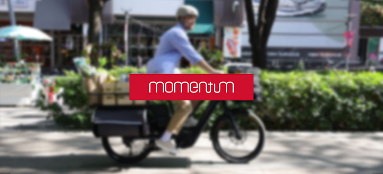 Momentum