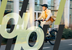 E-Bikes Vorschaubild