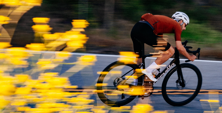 Tour/ Endurance Tour/ Endurance