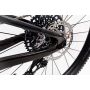 Giant Anthem Advanced Pro Raw Carbon 29" L Testbike mit Gebrauchsspuren Bild 5 thumbnail
