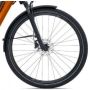 Giant Dailytour E+ 2 D LDS, SyncDrive Sport, 625Wh, Amber Glow, Tiefanstieg Bild 3 thumbnail
