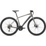 Giant Toughroad SLR 2, Shimano Altus/Alivio 2x9, Metal Bild 1 thumbnail