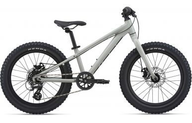 Giant STP 20 Concrete 20"