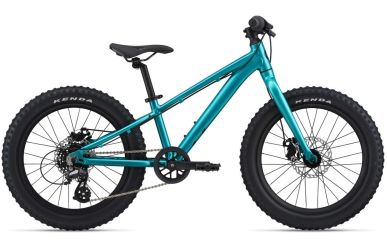 Liv STP 20 Teal 20"