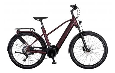 e bikemanufaktur 13ZEHN Shimano Deore XT 11-fach, Rot Matt, Trapez