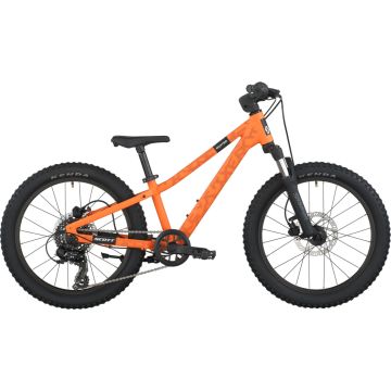 Scott Roxter 200 Vibrant Orange 20"