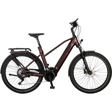 e bikemanufaktur 13ZEHN Shimano Deore XT 11-fach, Rot Matt, Trapez