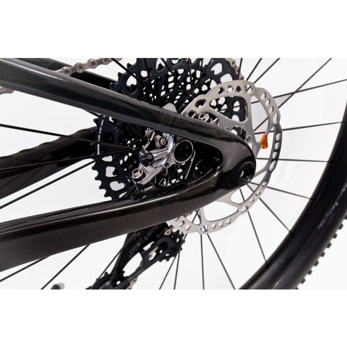 Giant Anthem Advanced Pro Raw Carbon 29" L Testbike mit Gebrauchsspuren Bild 5
