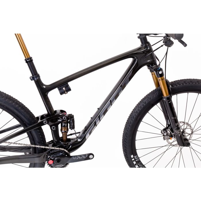 Giant Anthem Advanced Pro Raw Carbon 29" L Testbike mit Gebrauchsspuren Bild 2