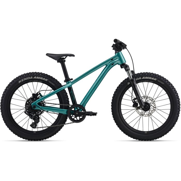 Giant STP 20 FS Teal Bild 1 Giant STP 20 FS Teal Bild 1
