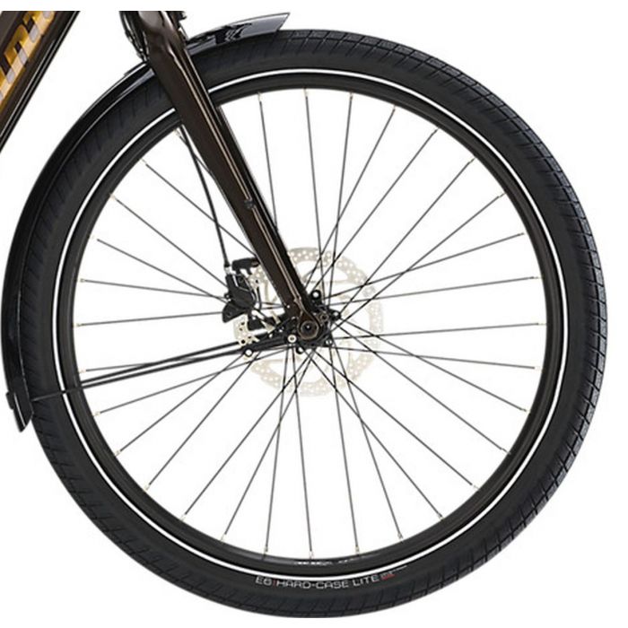 Diamant Opal Esprit+ Riemenantrieb, Bosch CX, 625Wh, Berninabraun Metallic TRA Bild 3