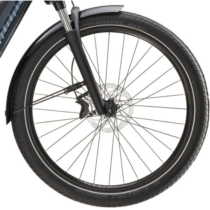 Diamant Beryll 160 Gen 3 Performance Line Cruise 725Wh Magnetitgrau Metallic Tiefeinstieg Bild 3