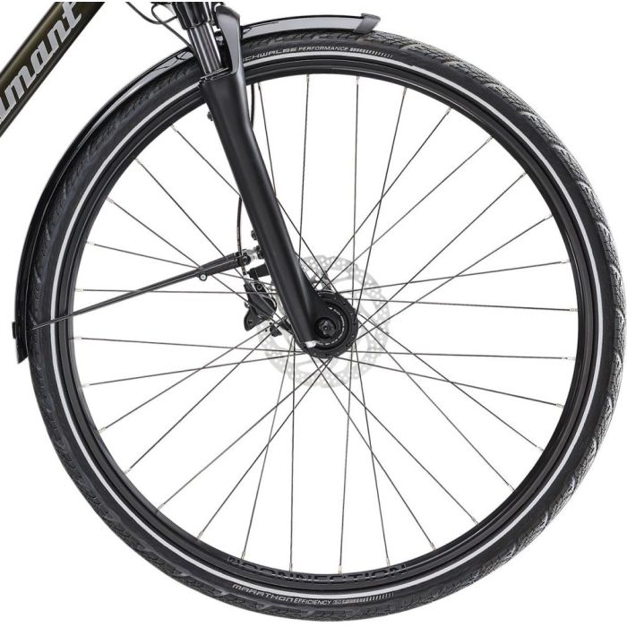 Diamant Elan Super Deluxe Trekking Bike | biketime.de