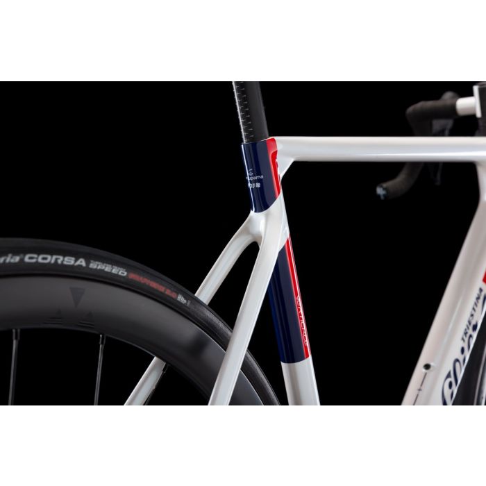 Wilier Verticale SLR, Sram Red AXS PM, Miche Kleos RD 36, Groupama FDJ Bild 2
