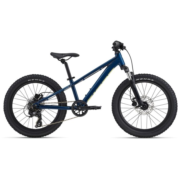 Giant STP 20 FS Bild 1 Giant STP 20 FS Bild 1