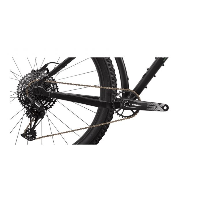 santa cruz chameleon d 
