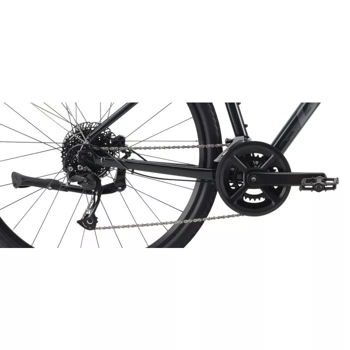 Giant Roam EX Shimano Alivio Charcoal Biketime