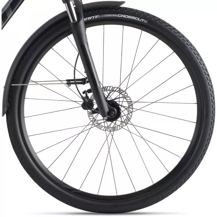 Giant Roam EX Shimano Alivio Charcoal Biketime