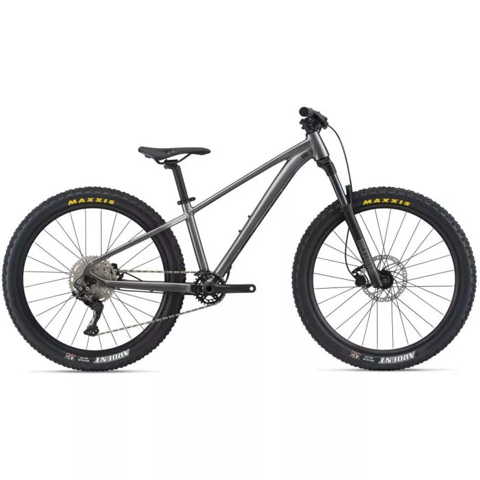 Black giant mountain bike shop