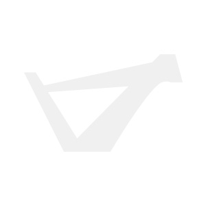 Logo von Santa Cruz